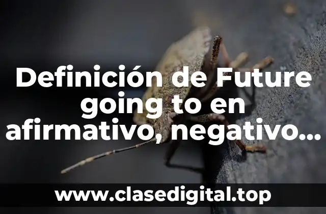 Ejemplos de Future going to en afirmativo