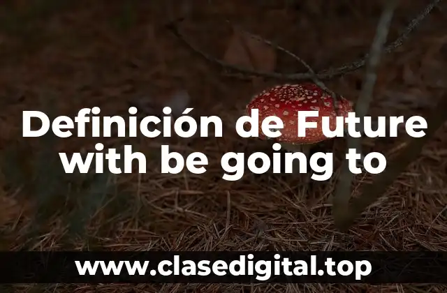 Definición de Future with be going to