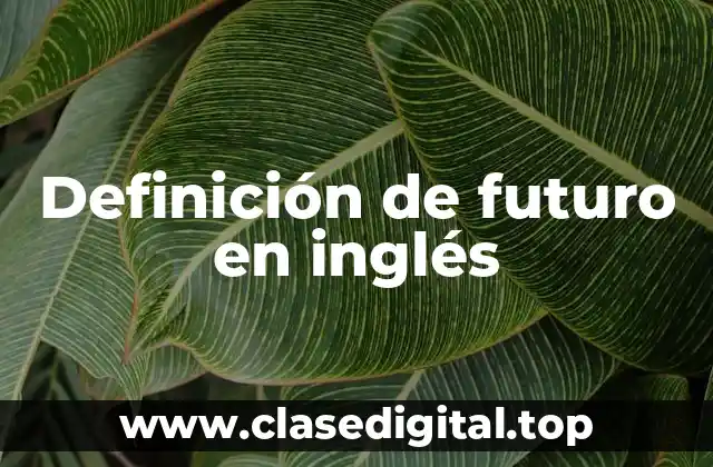 Definición de futuro en inglés