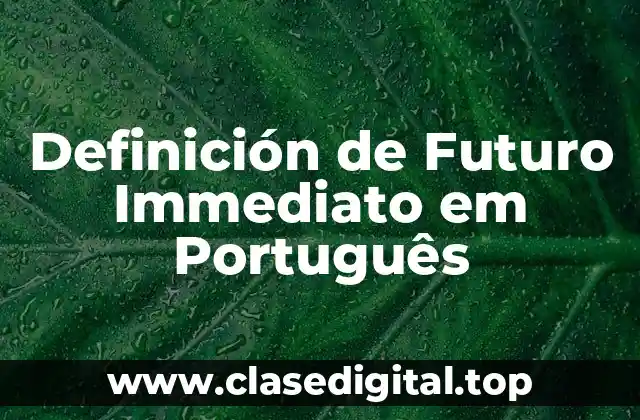 Definición de Futuro Immediato em Português