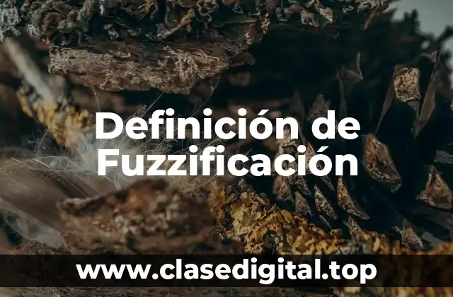 Definición de Fuzzificación