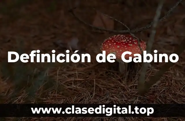 Definición de Gabino