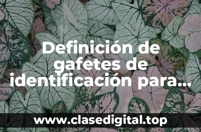 Definición de gafetes de identificación para niños de preescolar