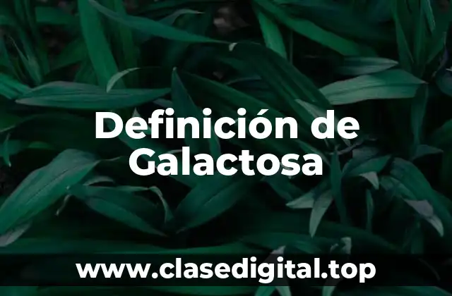 Definición técnica de Galactosa