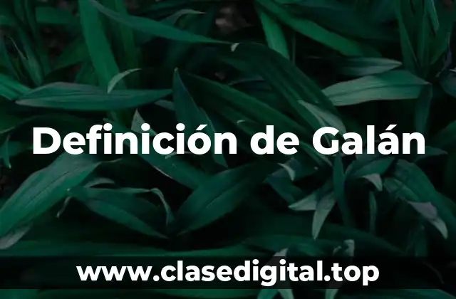 Definición de Galán