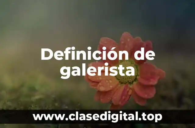 Definición de galerista