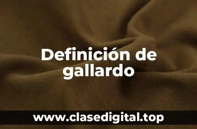 Definición de gallardo