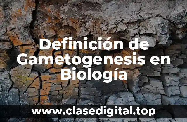 Definición de Gametogenesis en Biología