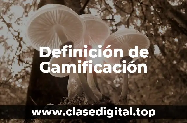 Definición de Gamificación