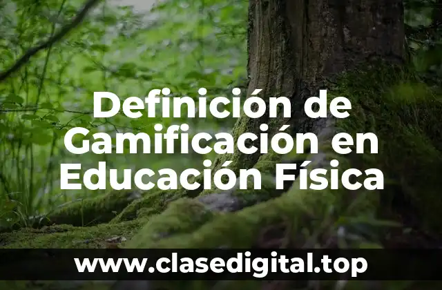 Ejemplos de Gamificación en Educación Física