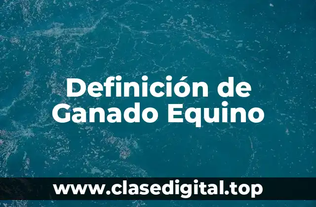 Definición de Ganado Equino