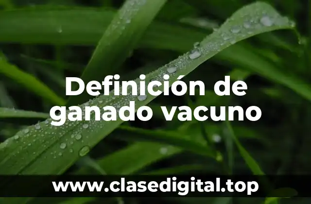 Definición de ganado vacuno