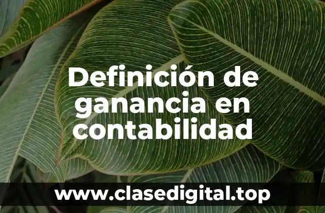Definición de ganancia en contabilidad