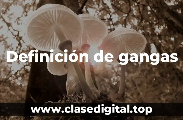 Definición de gangas