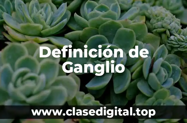 Definición de Ganglio