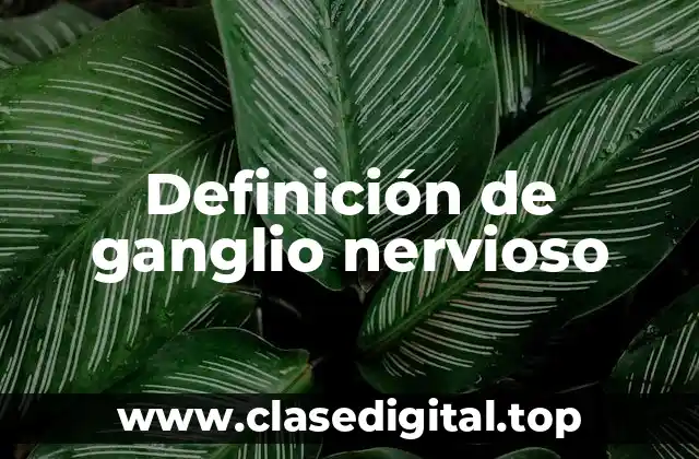Definición de ganglio nervioso