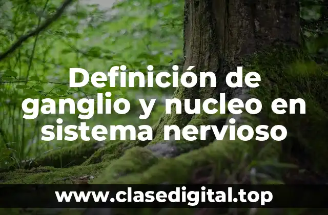 Definición de ganglio y nucleo en sistema nervioso