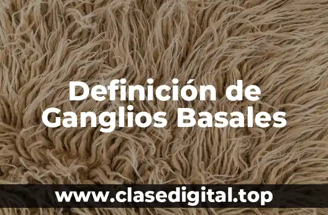 Definición de Ganglios Basales