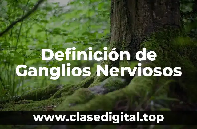 Definición de Ganglios Nerviosos