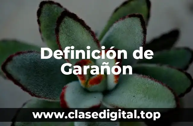 Definición de Garañón