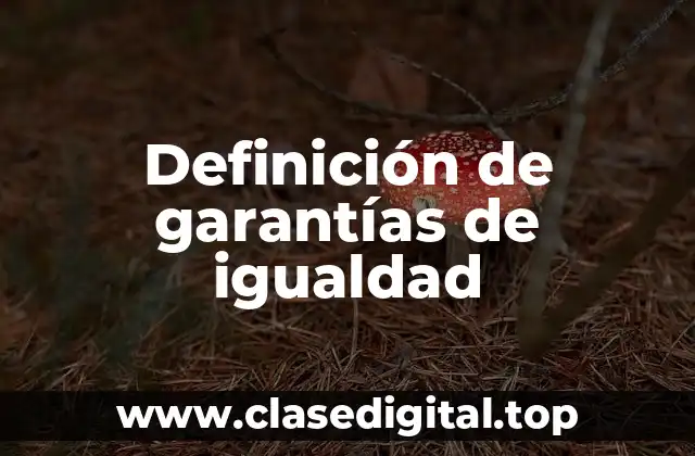 Definición de garantías de igualdad