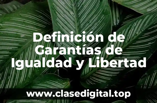 Definición de Garantías de Igualdad y Libertad