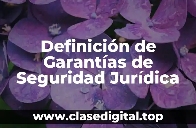 Definición de Garantías de Seguridad Jurídica