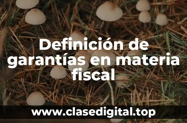 Definición de garantías en materia fiscal