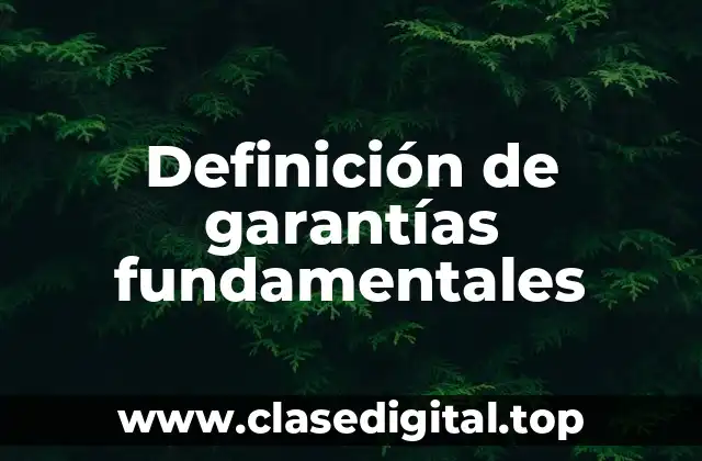 Definición de garantías fundamentales