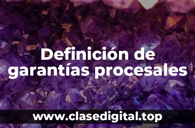 Definición de garantías procesales