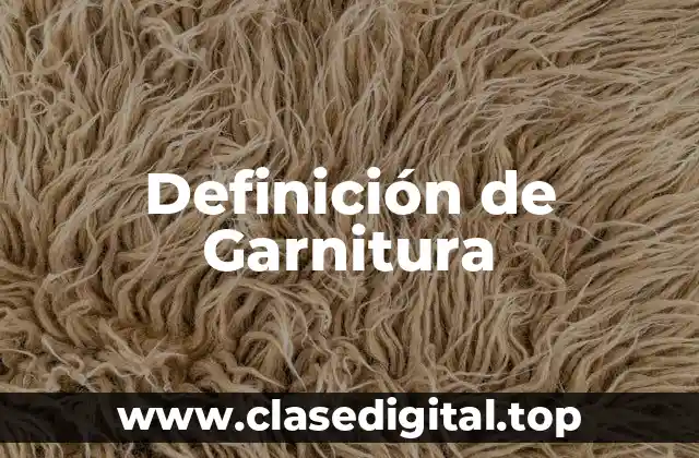 Definición de Garnitura
