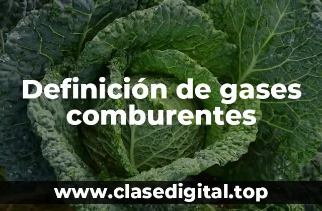 Definición de gases comburentes