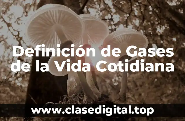 Definición de Gases de la Vida Cotidiana