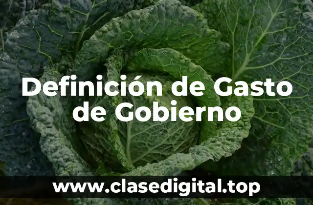 Definición de Gasto de Gobierno