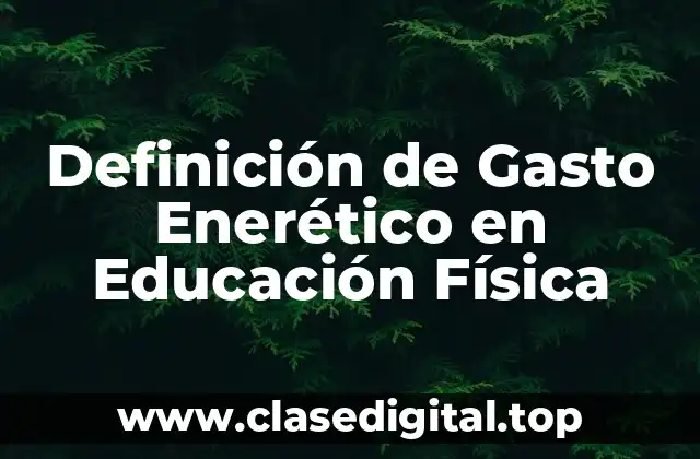 Definición de Gasto Enerético en Educación Física