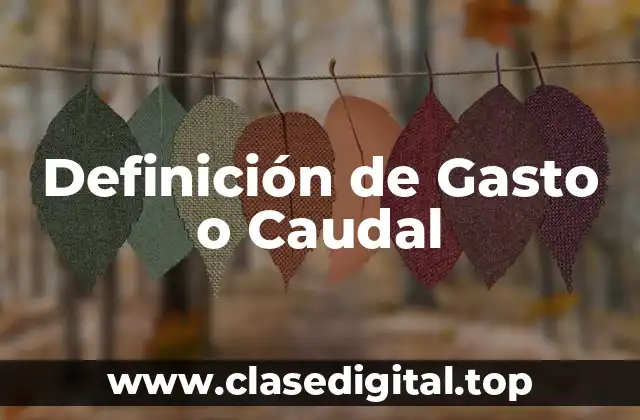 Definición de Gasto o Caudal