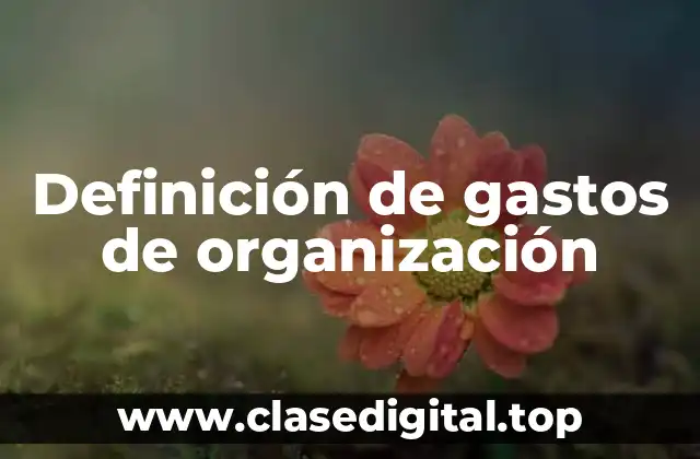 Definición de gastos de organización