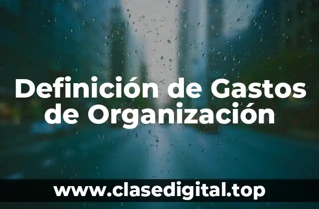 Ejemplos de Gastos de Organización