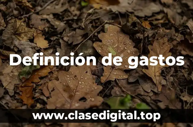 Definición técnica de gasto