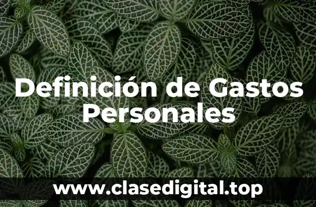 Definición de Gastos Personales