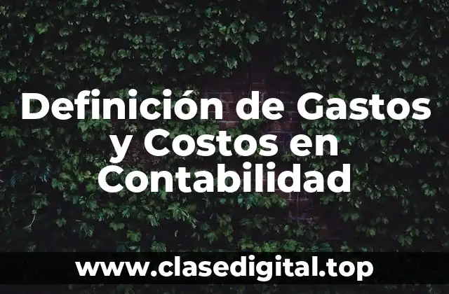 Definición de Gastos y Costos en Contabilidad