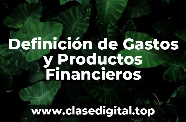 Definición de Gastos y Productos Financieros