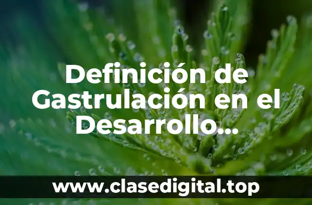 Definición de Gastrulación en el Desarrollo Embrionario