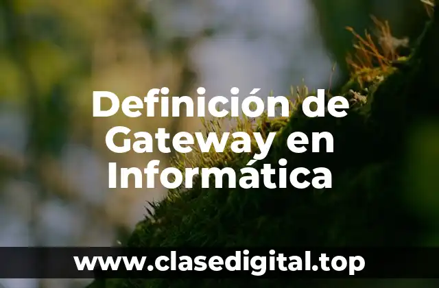 Definición de Gateway en Informática
