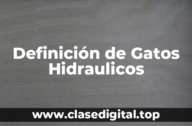 Definición de Gatos Hidraulicos