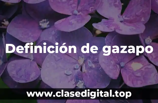 Definición de gazapo