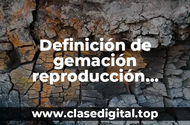 Ejemplos de gemación reproducción asexual