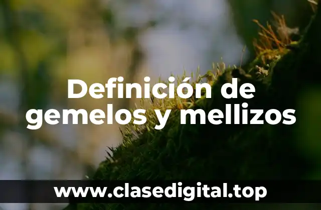 Definición de gemelos y mellizos