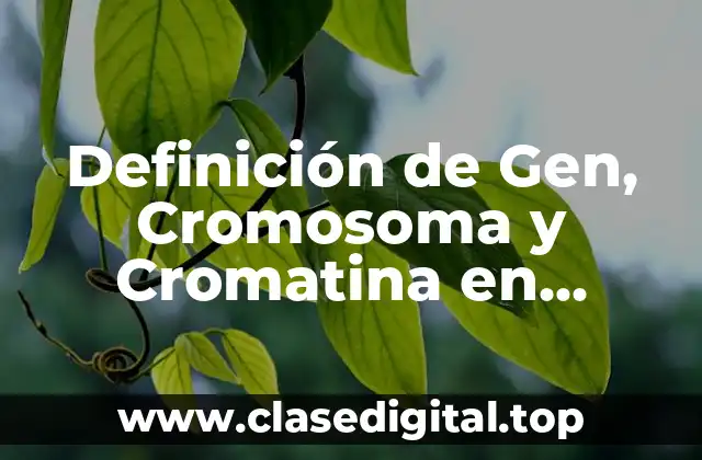 Definición de Gen, Cromosoma y Cromatina en Biología