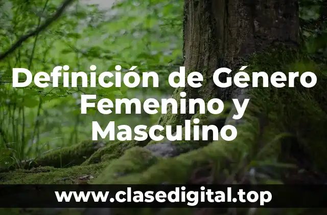 Definición de Género Femenino y Masculino